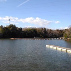 大安トラウトレイク 釣果